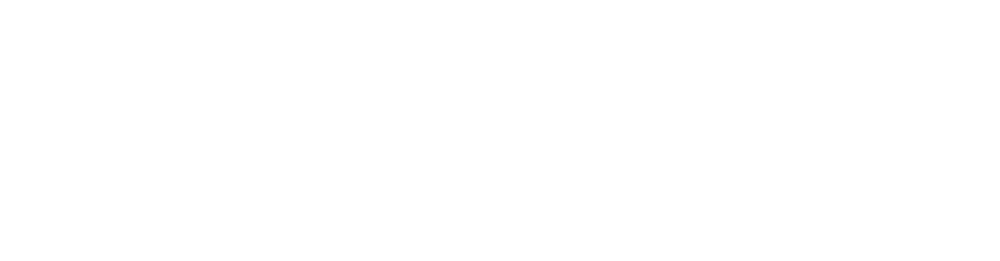 Next Level Firms